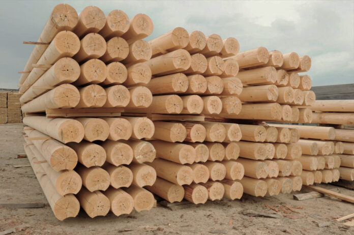 Выбор дерева для строительства дома — ключевые критерии при выборе древесины и их оптимальные сочетания для долговечного и экологичного строительства