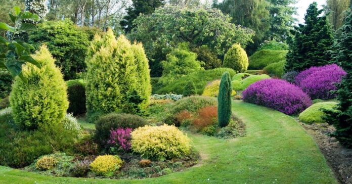 Как выбрать идеальные растения для вашего сада среди разнообразия садовых культур