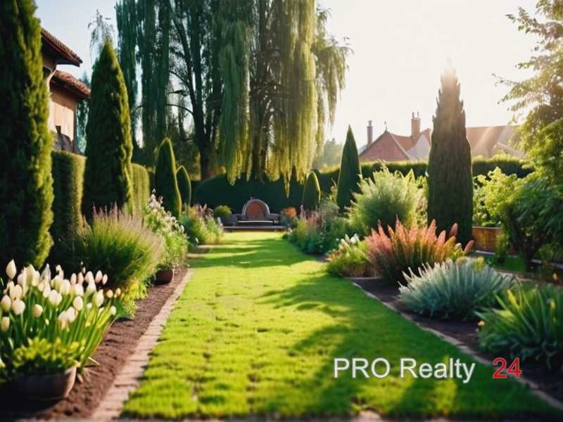 Тонкости полива и подкормки для насыщенного аромата