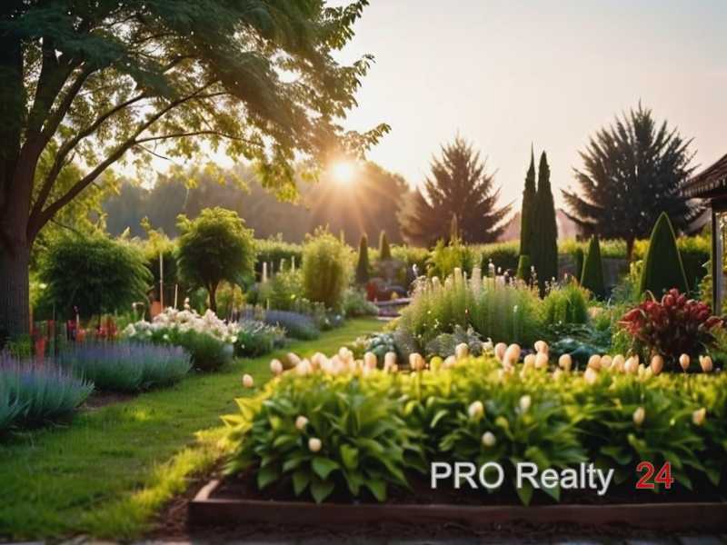 Посадка для декоративных целей