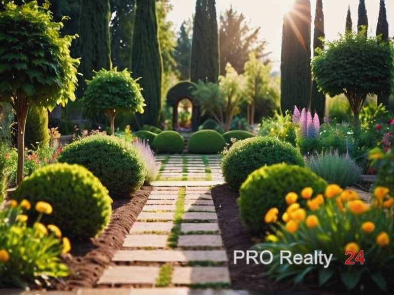 Правильная посадка корневищ и саженцев