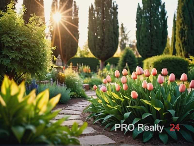 Особенности ухода