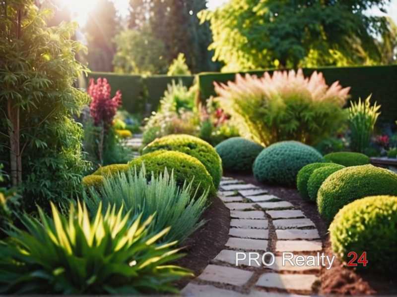 Как вырастить на даче розмарин и другие пряные травы Как вырастить на даче розмарин и другие пряные травы