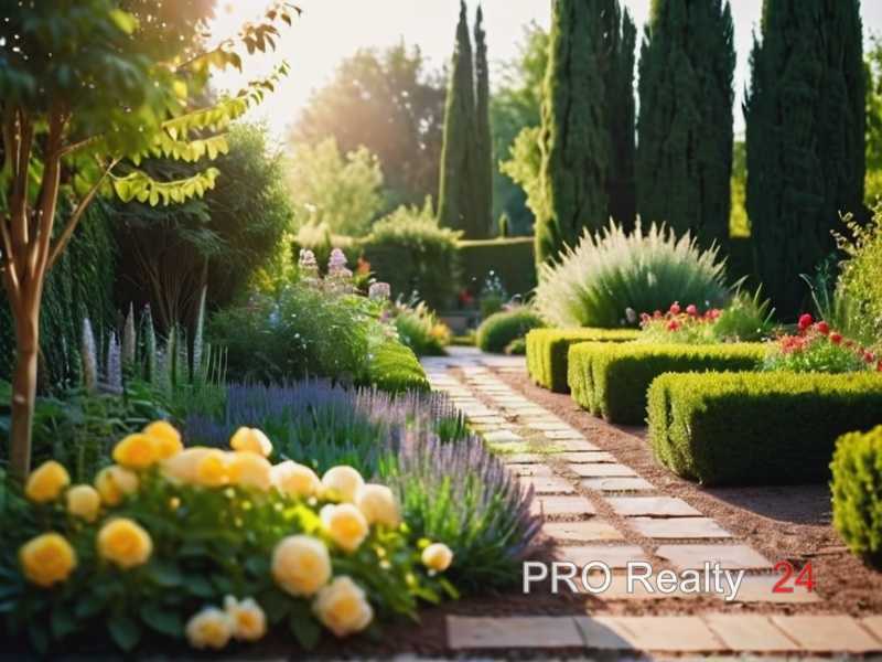 Кустарники, не требующие частой обрезки