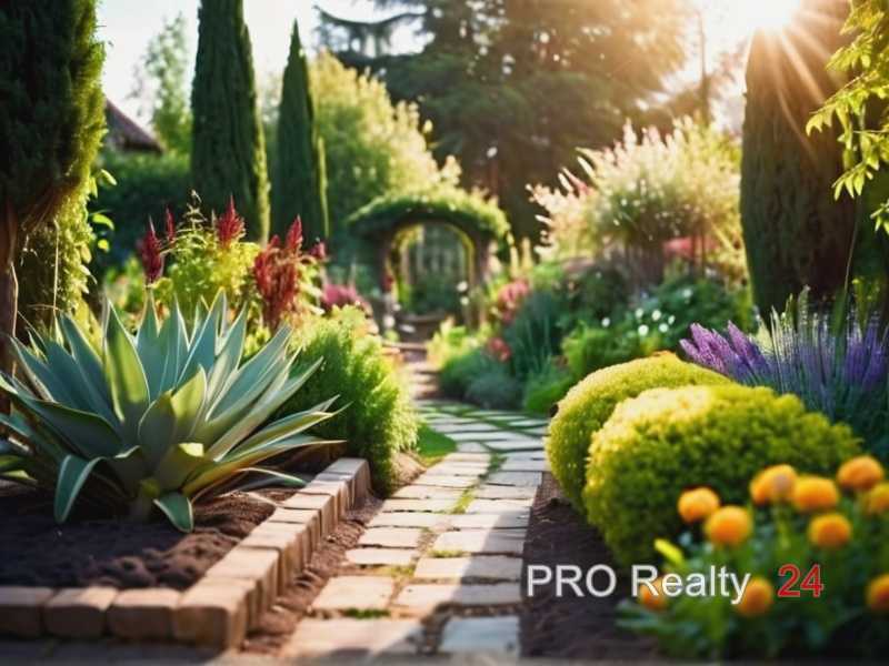 Омолаживающая обрезка старых плодовых деревьев