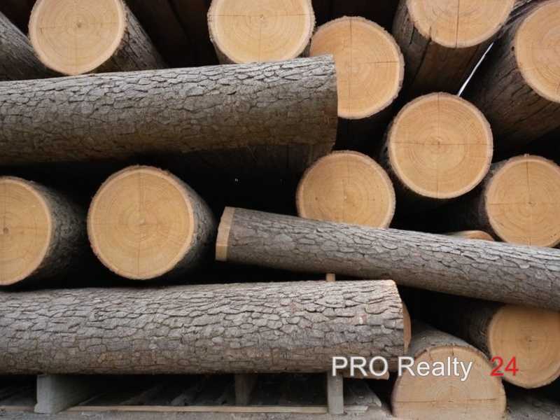 Как определить оптимальную влажность древесины для монтажа