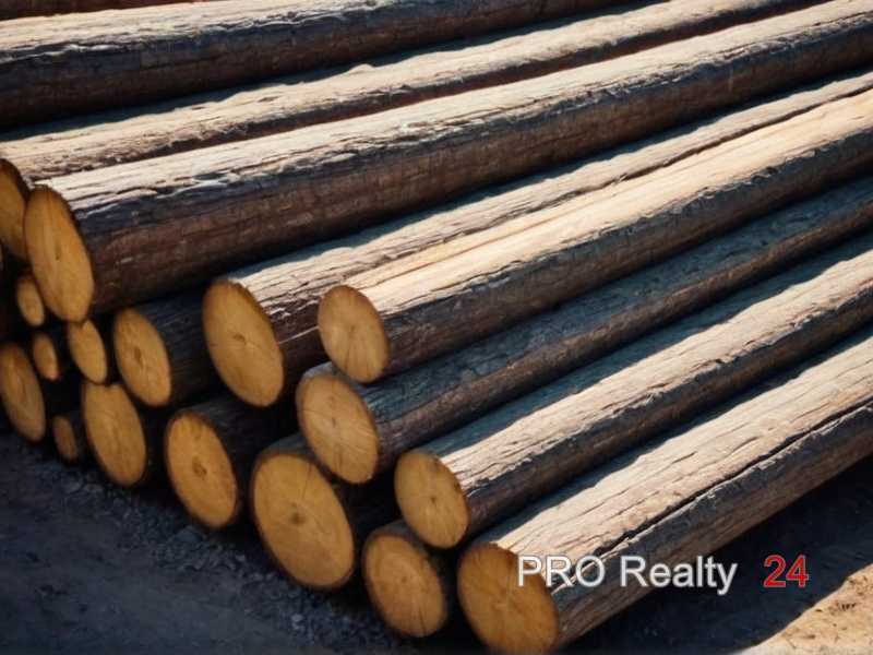 1. Лиственница