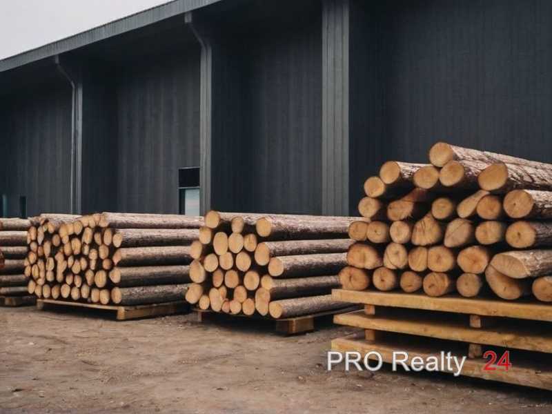 Шлифовка и обработка поверхности древесины