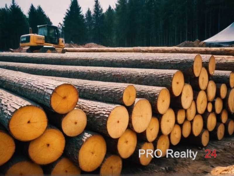 Стеклянные панели и деревянные детали