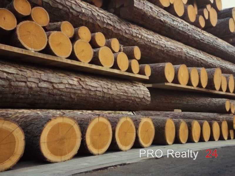 Выбор подходящей породы древесины для офисной мебели