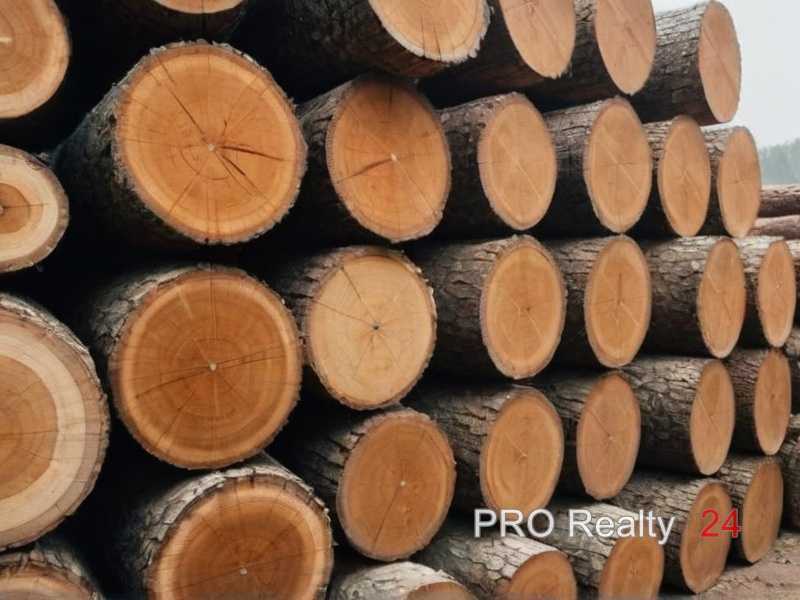 Как правильно обрабатывать древесину для внутренней отделки Как правильно обрабатывать древесину для внутренней отделки