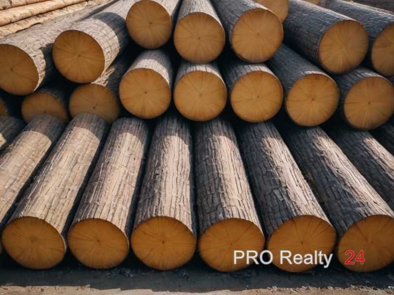 Как определить сортность и качество пиломатериала