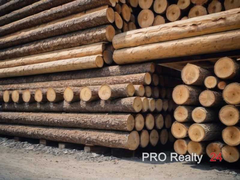 Выбор типа дерева для настенных элементов