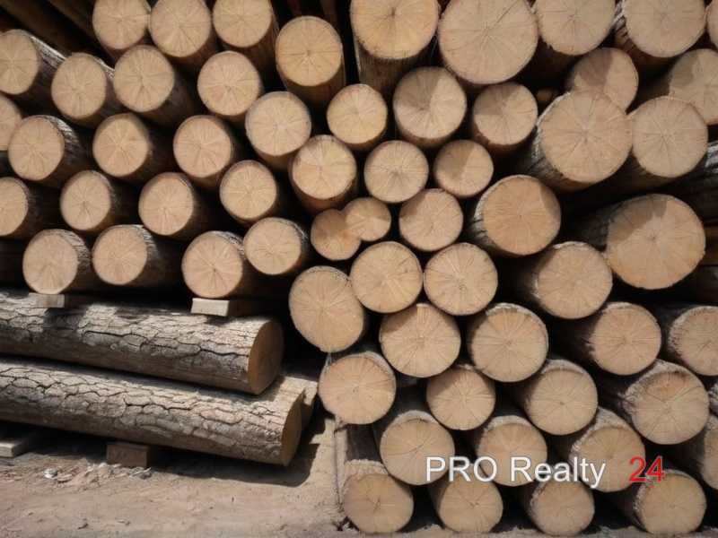 Как правильно хранить древесину до начала работы