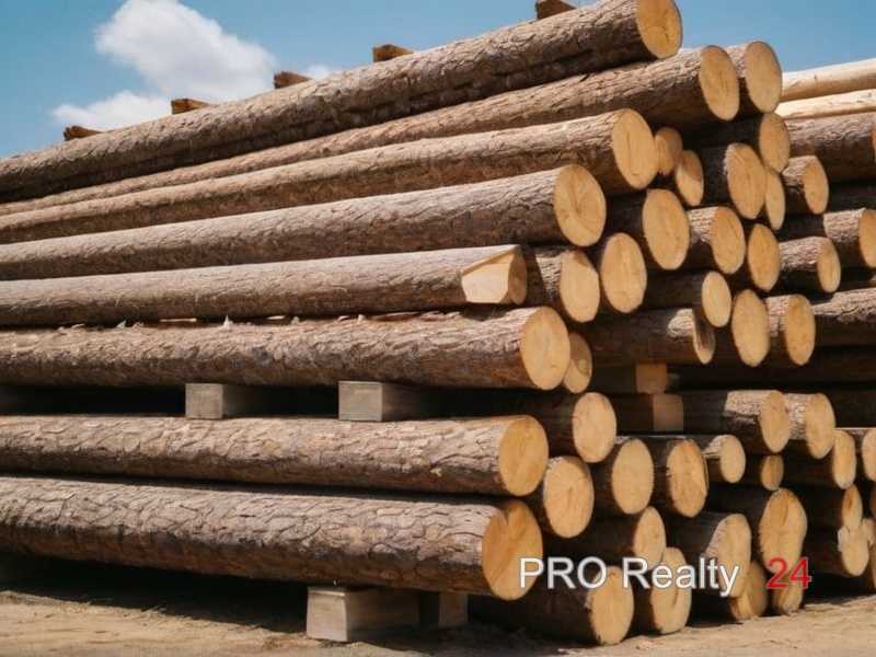 Выбор влагостойких лаков и красок для фасадных работ