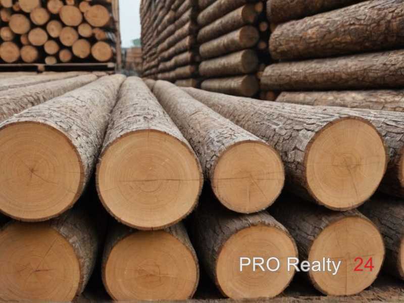 Стоимость популярных пород и соотношение цены и ресурса