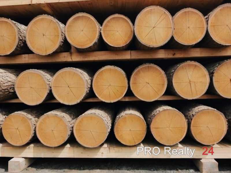 Защита древесины