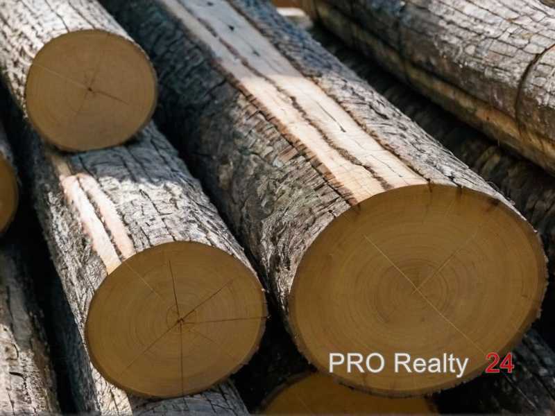 Определяем подходящий вид древесины для влажной кухни