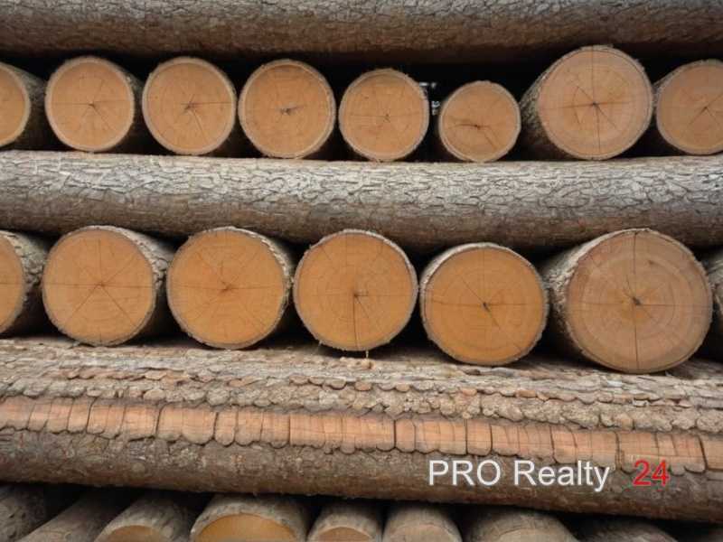 Защита поверхности лаком