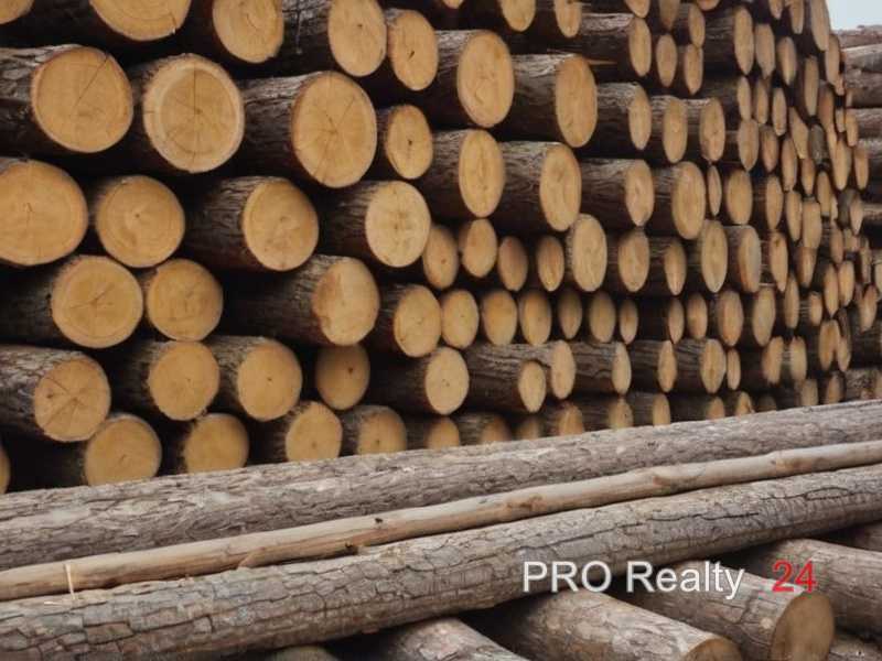 Как подобрать финишные материалы для долговечности деревянных элементов ар-деко?